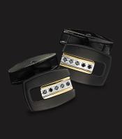 PVD BLACK STAINLESS STEEL WITH 14K SOLID GOLD INLAY & BLACK DIAMONDS